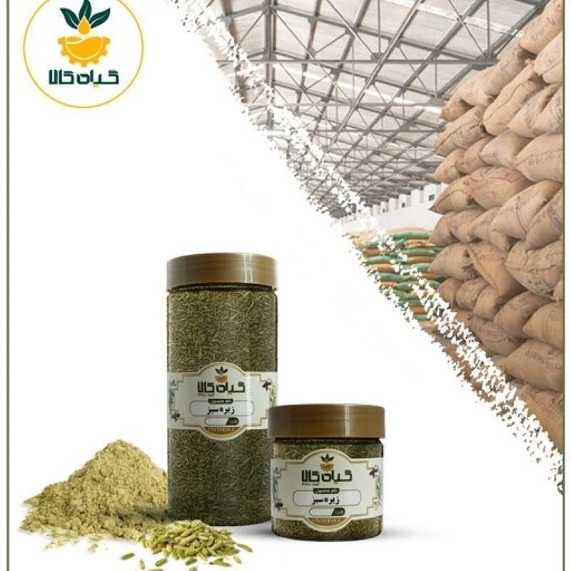 زیره سبز سبزوار با کیفیت عالی، بار امسالی و تازه(1کیلوگرم)