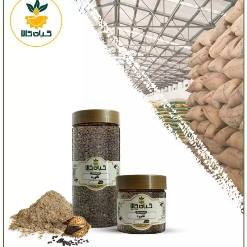 تاتوره  پودر شده با کیفیت ممتاز50 گرمی