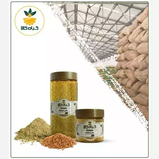 بذر شنبلیله با کیفیت عالی، بار امسالی و تازه(150گرمی)