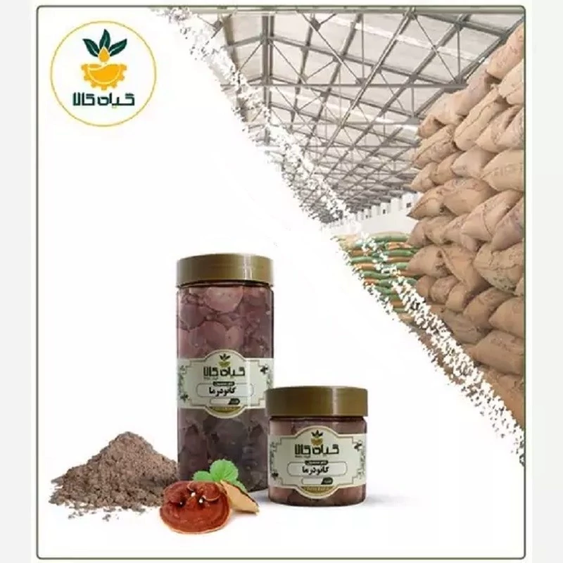 قارچ گانودرما پودر شده با کیفیت عالی، بار امسالی و تازه(500گرمی )