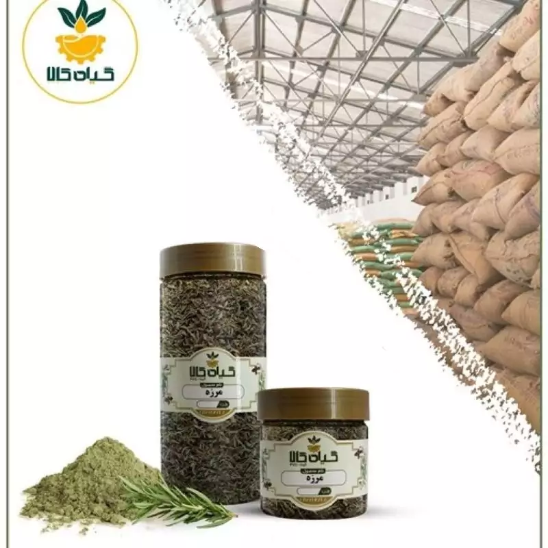 گیاه مرزه با کیفیت عالی، بار امسالی و تازه(100گرمی)