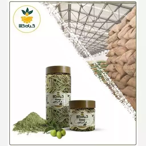 گیاه برگ زیتون با کیفیت عالی، بار امسالی و تازه(50گرمی)