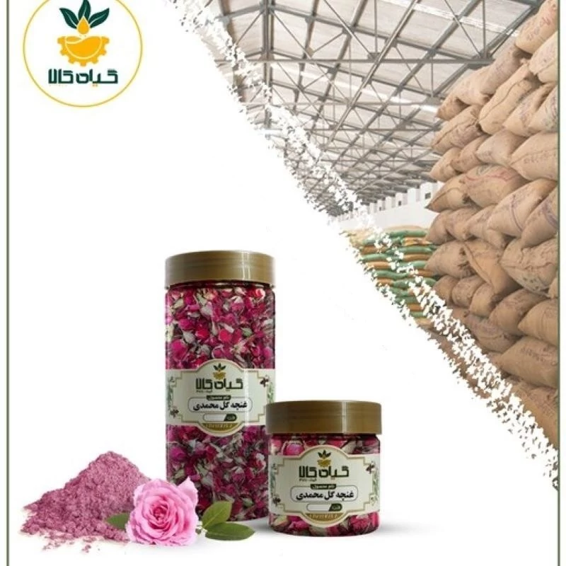 غنچه گل محمدی با کیفیت عالی، بار امسالی و تازه(50گرمی )