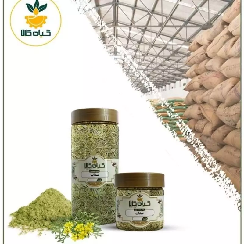 گیاه سداب با کیفیت عالی، بار امسالی و تازه(750گرمی)