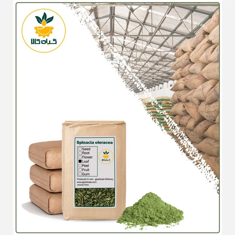 پودر اسفناج فله با کیفیت عالی،بار امسالی و تازه(1 کیلوگرم)