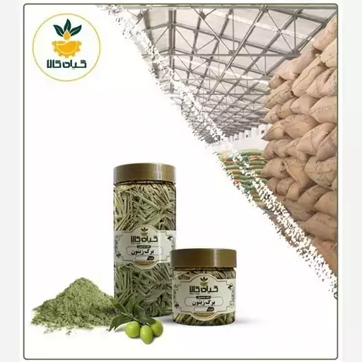 برگ زیتون پودرشده، بار امسالی و تازه(100گرمی)