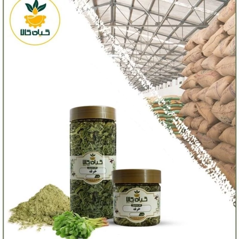 گیاه خرفه با کیفیت عالی، بار امسالی و تازه(2کیلوگرم)
