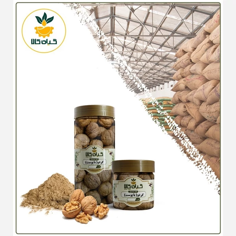 گردو خشک پودر شده  با کیفیت عالی، بار امسالی و تازه(500گرمی )