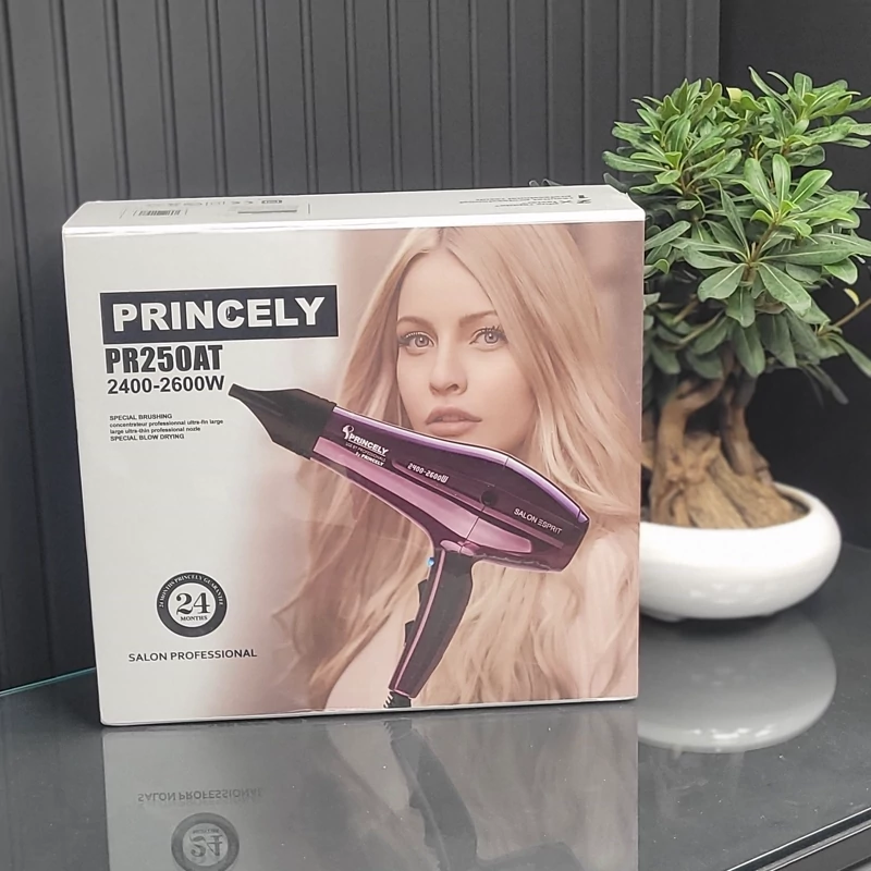 سشوار حرفه ای پرنسلی مدل PR250AT ( پس کرایه)