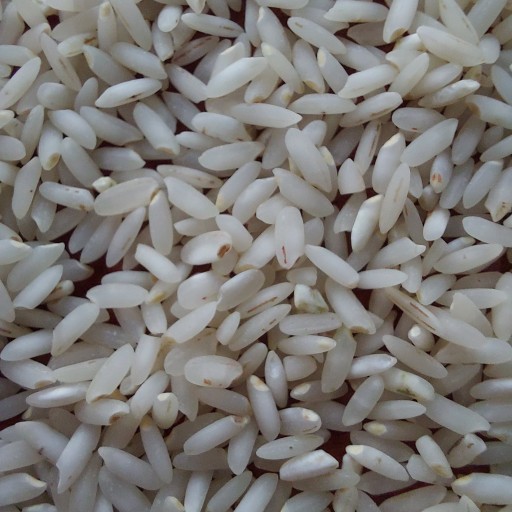 برنج معطر عنبربو جنوب (5کیلوگرم)تضمین کیفیت