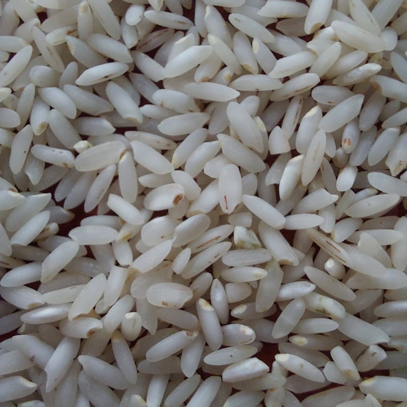 برنج معطر عنبربو جنوب 5کیلوگرمتضمین کیفیت