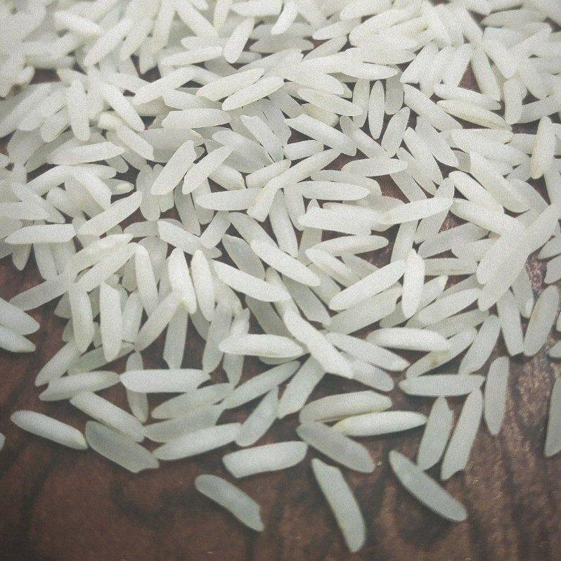 برنج شیرودی درجه یک شمال خالص و یکدست
