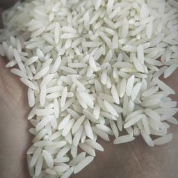 برنج طارم هاشمی عطری کشت جدید خالص و یک دست