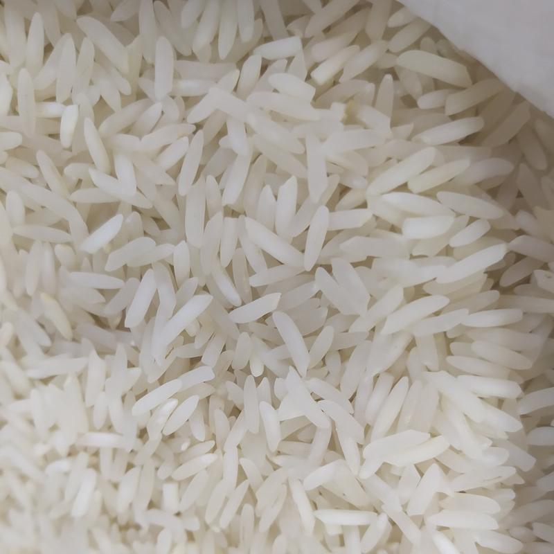 برنج شیرودی خالص درجه یک بابل (ارسال رایگان)  10 کیلویی