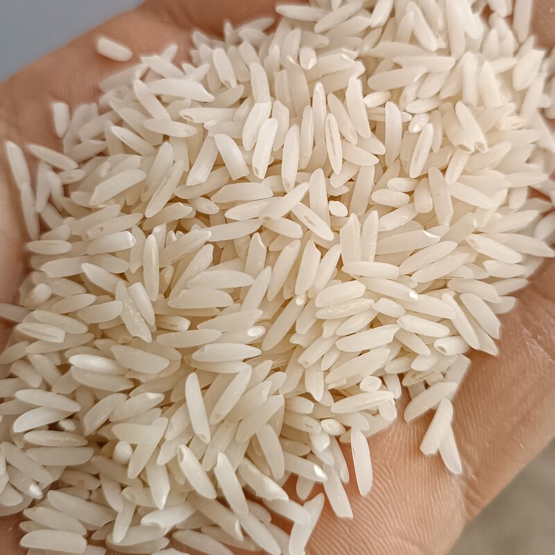 برنج صدری درجه یک 