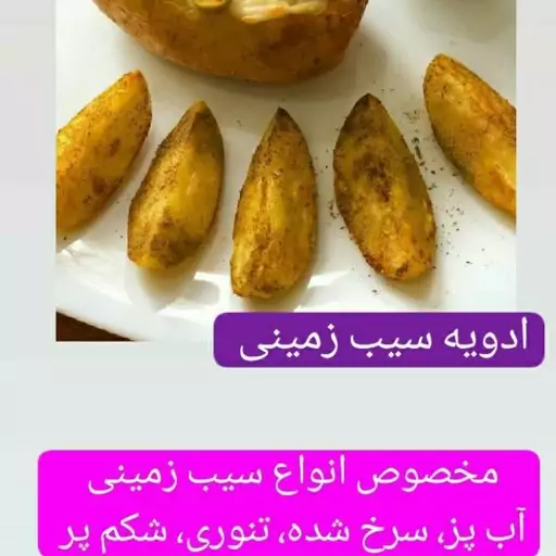 ادویه مخصوص سیب زمینی (100 گرمی)