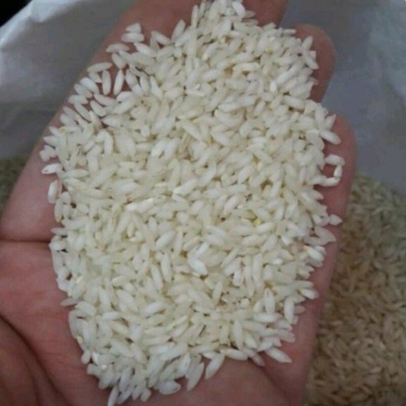 برنج عنبربو خوزستان امسالی(کیسه 10 کیلویی) 