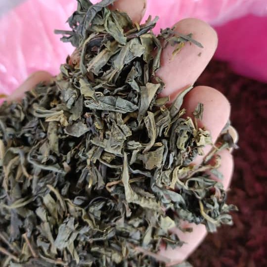 چای سبز بهاره لاهیجان 900 گرمی کم ساقه 