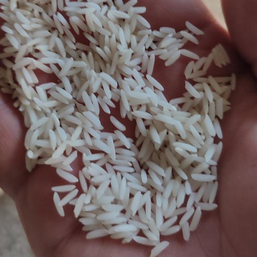 برنج طارم هاشمی ممتاز 10 کیلویی