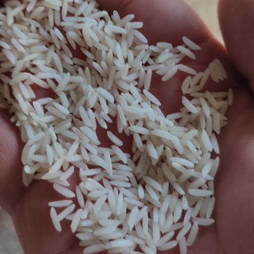 برنج طارم هاشمی ممتاز   5 کیلویی 
