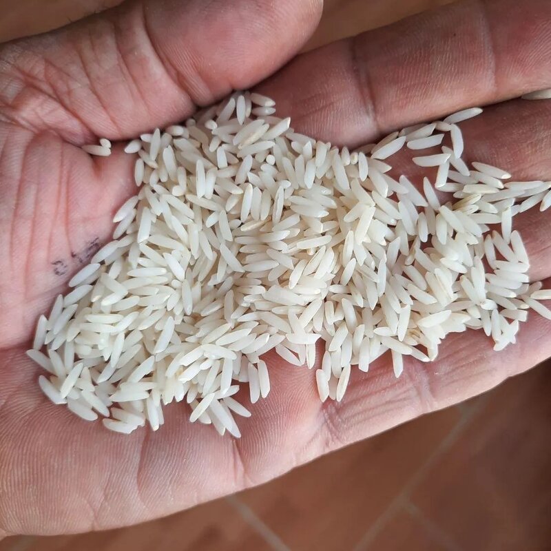 برنج 10 کیلویی دم سیاه اعلا مینودشت(گلستان)،باکیفیت