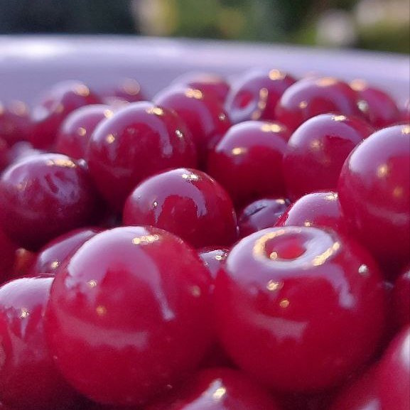 مربای آلبالوی خانگی ارگانیک دماوند 500 گ