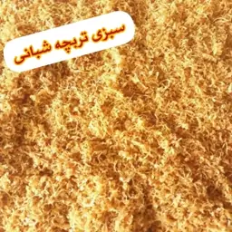 پیازداغ سرخ شده خلالی 500گرمی(عمده)