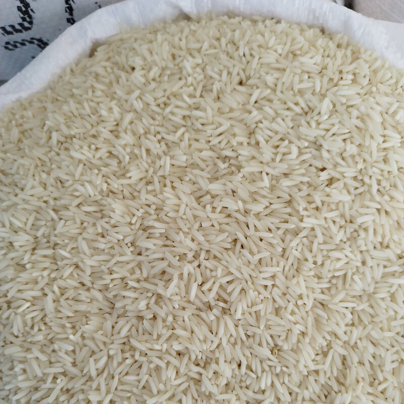 برنج طارم فریدونکنار (شیرودی)مستقیم از تولید کننده صددرصد ایرانی خالص 20 کیلویی سورت شده