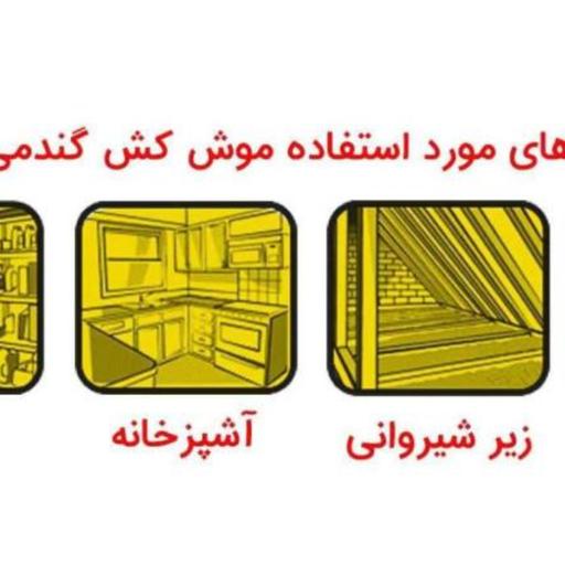 طعمه موش کش گندمی 100گرمی کیفیت فوق العاده