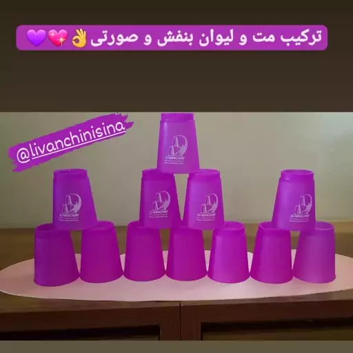 بازی فکری لیوان چینی سری حرفه ای مدل 363 بسته 12 عددی به همراه مت 