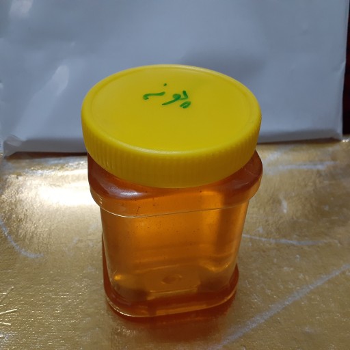 عسل پونه (1 کیلویی)