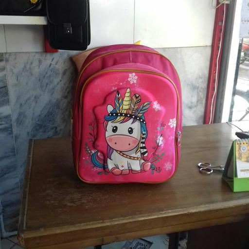 کیف مدرسه ای دخترونه ارزون
