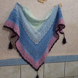 توضیحات تصویر