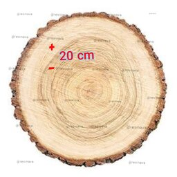 تنه درخت برش خورده 20 سانتی