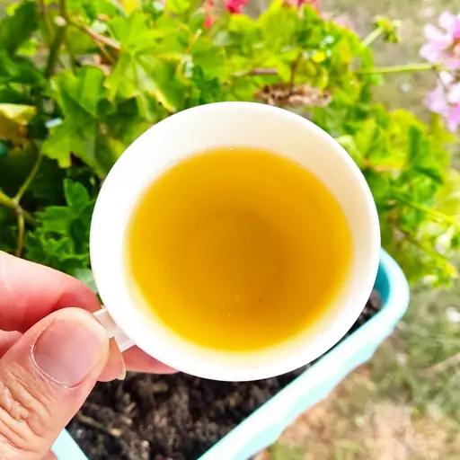 چای سبز  (ساچمه ای)500گرمی طعم تازه املش...