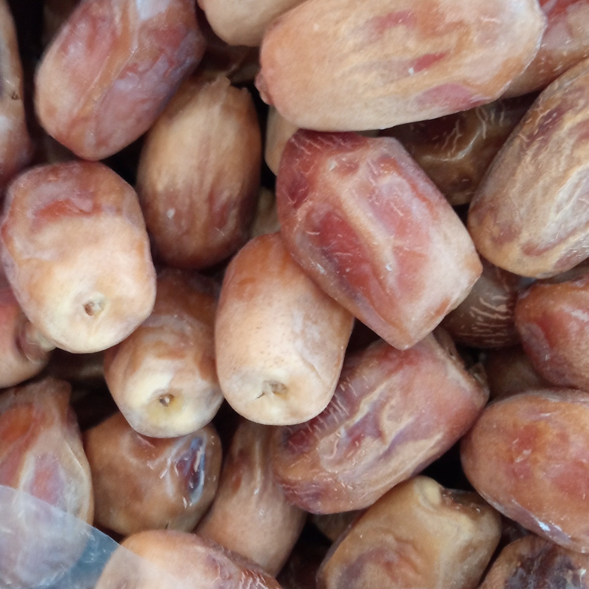 خرمای زاهدی خشک سوغات جنوب ایران خوشمزه و پر انرژی 