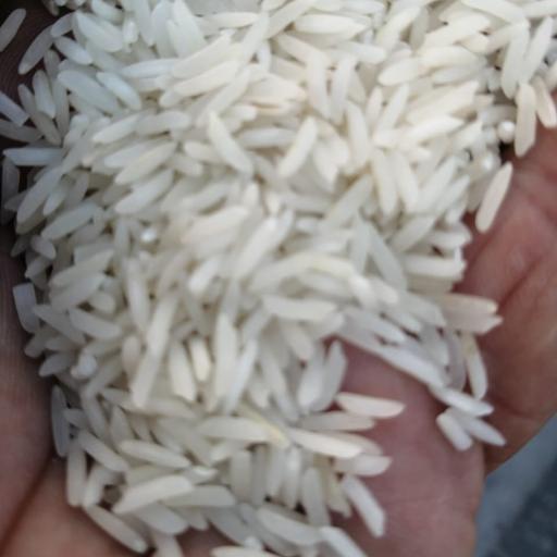برنج هندی محسن مقدار 10 کیلوگرم