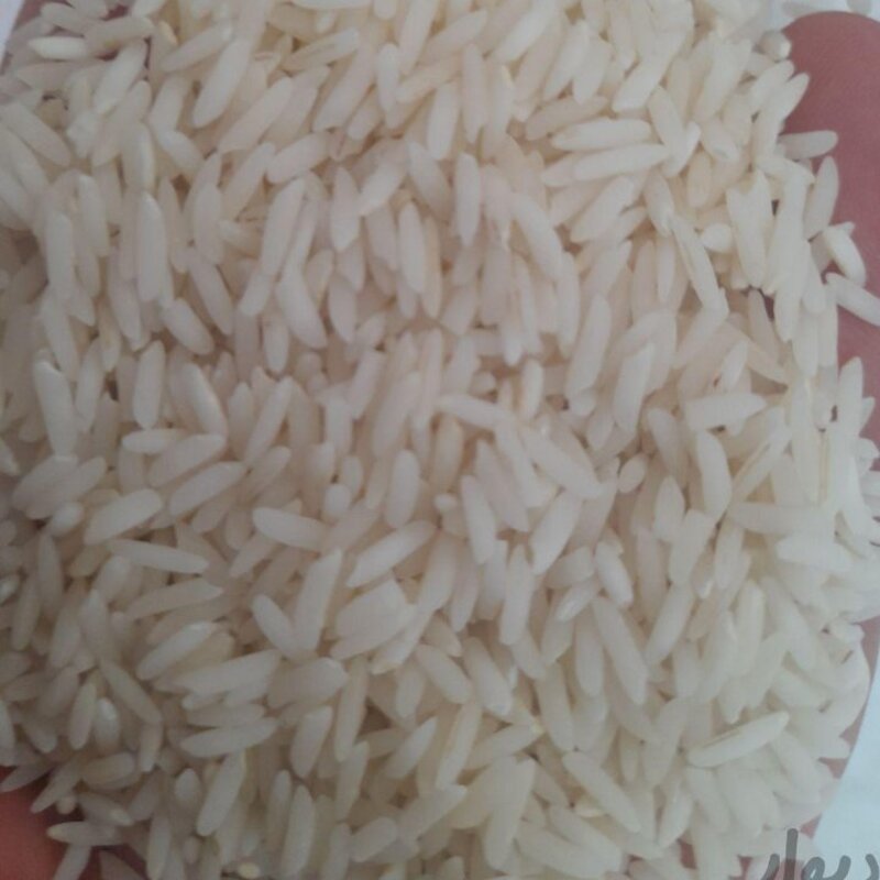 برنج پاکستانی دانه سفید کشتی نشان وزن 10 کیلوگرم 