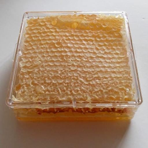عسل موم دار طبیعی گون گلپایگان850 گرمی