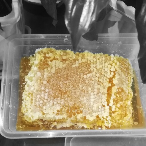 عسل کاملا طبیعی در وزن های یک کیلو به بالا 