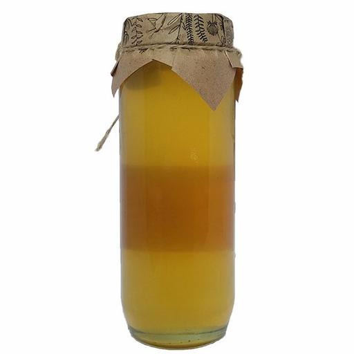 عسل گون طبیعی و خام  (ظرف شیشه ای)  ارسال رایگان