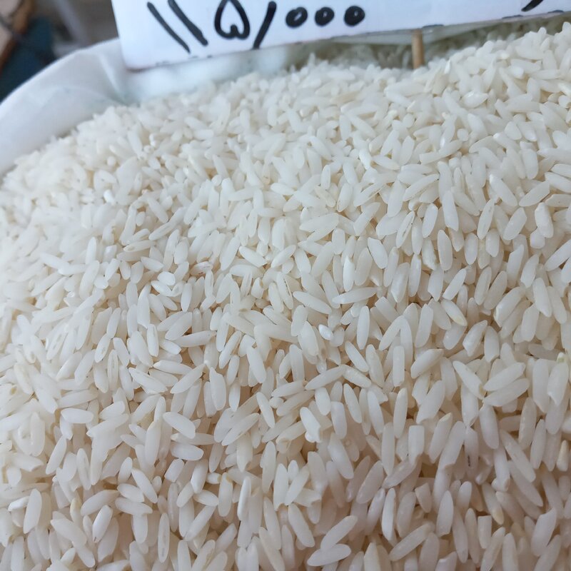 برنج طارم محلی امراللهی محصول فریدونکنار(10کیلوگرم)