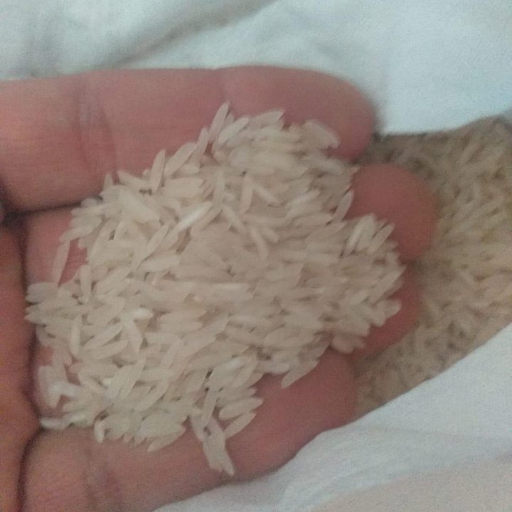 برنج  ایرانی فجر ایرانی 10کیلو درجه 1 اصل
