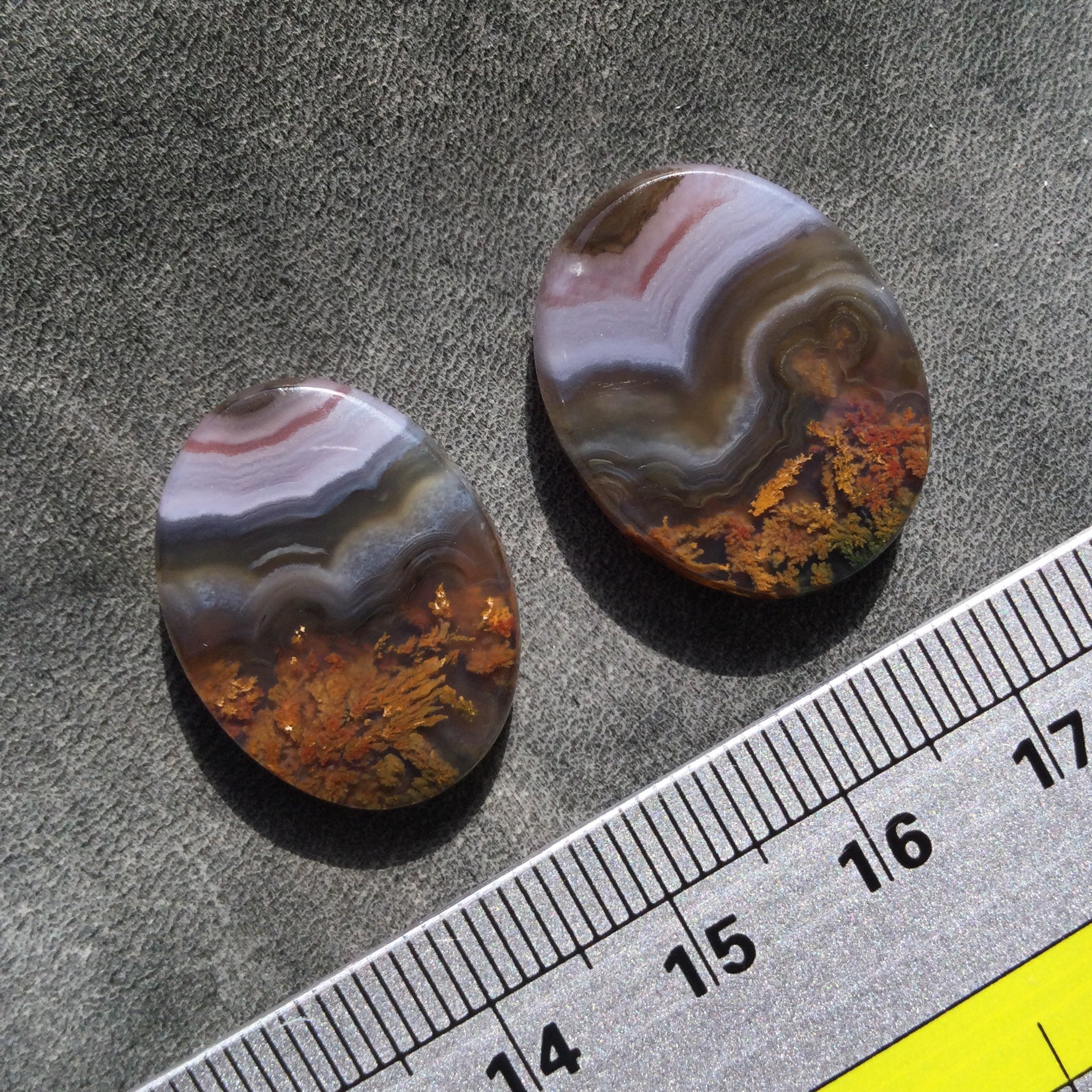 جفت شجر ناب سه قلعه خاص