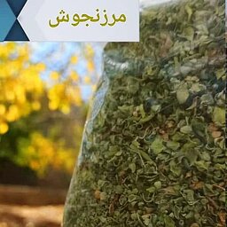 گیاه مرزنجوش یزدی اصل،طبیعی و بهداشتی،دارای تأییدیه آزمایشگاهی،بسته 100 گرمی