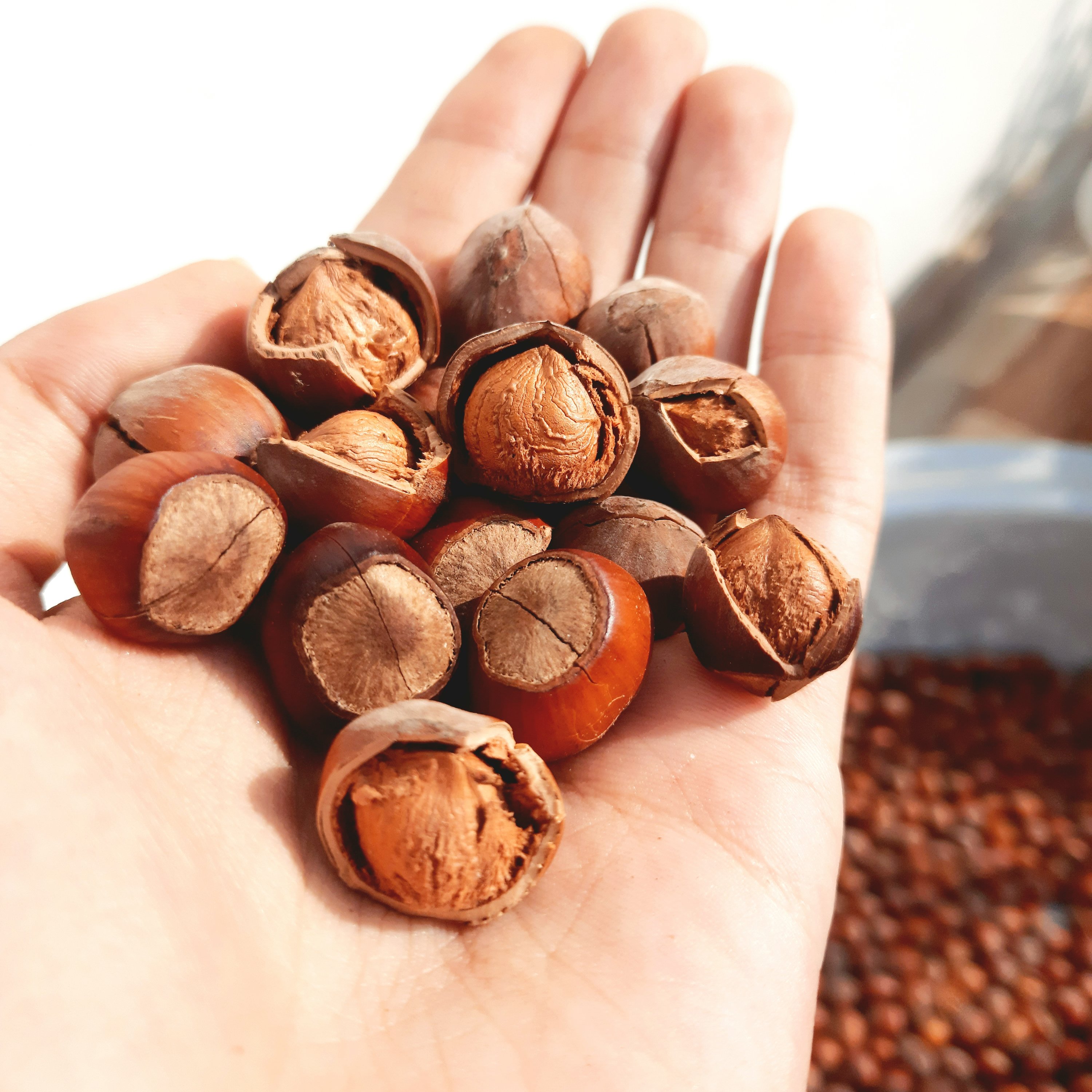 فندق خام شکسته(خندان) دو کیلوگرم فیدنو