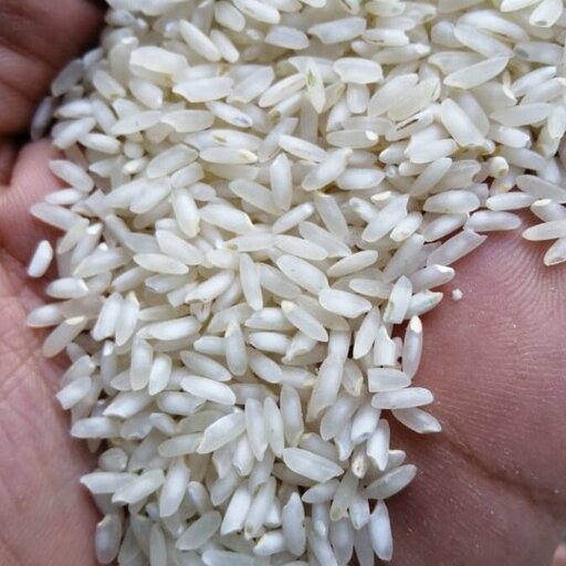 برنج عنبر بو خالص محصول مزارع خوزستان (10 کیلویی)