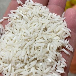 برنج طارم ندا کیلویی 48 هزار تومن