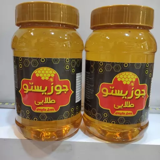 عسل گون خوش عطر و خوش طعم یک کیلویی محصول کوه های شاه جهان