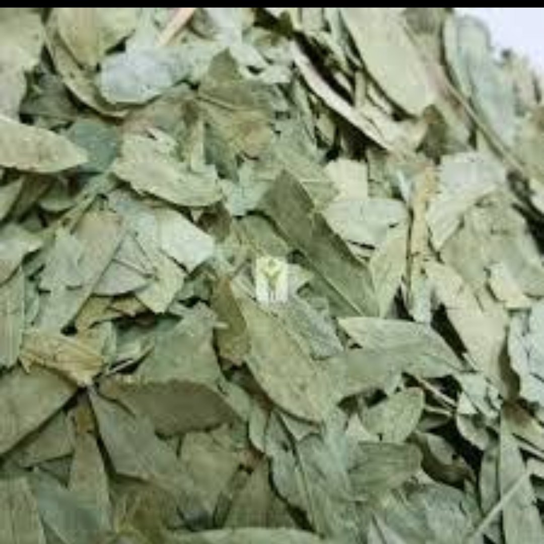 برگ سنا  (100گرمی)